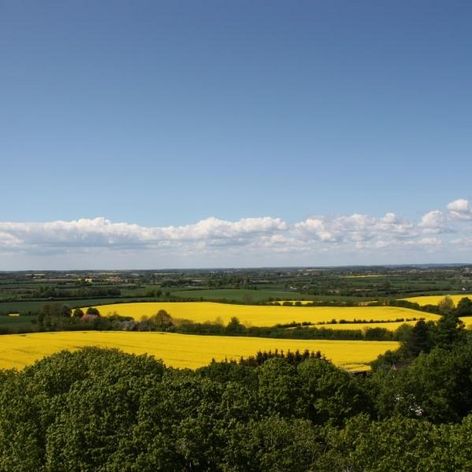 Landschaft Ostangeln