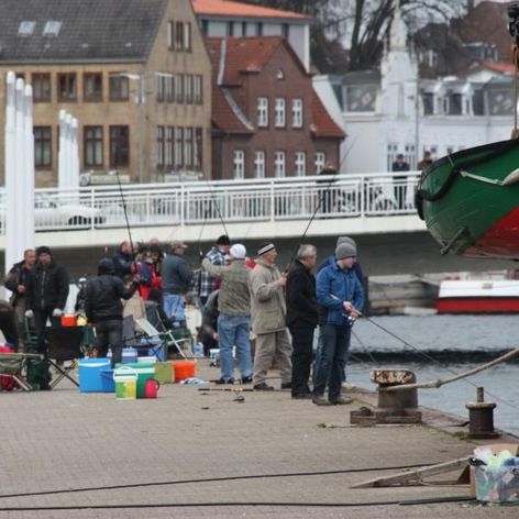 Angler an der Schlei