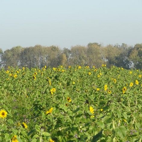 Schöner Ausblick übers Land